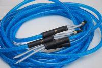Renaissance audio blue 6m