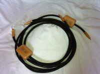 HMS elektronik Gran finale 2m RCA