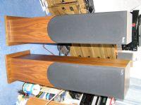 Proac Studio 250